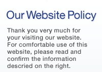 Our Website Policy